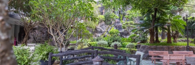 Cảnh Quan Trung Tâm - Khu Vực Công Viên